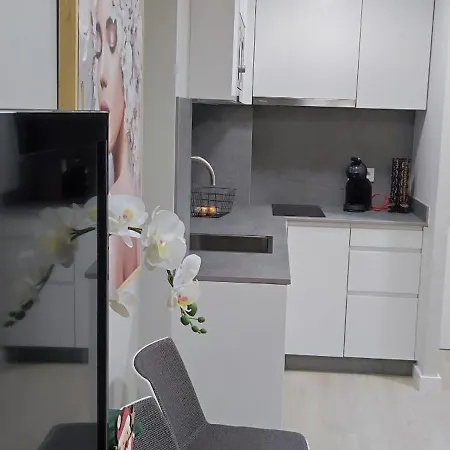 Estudio 1 Vigo